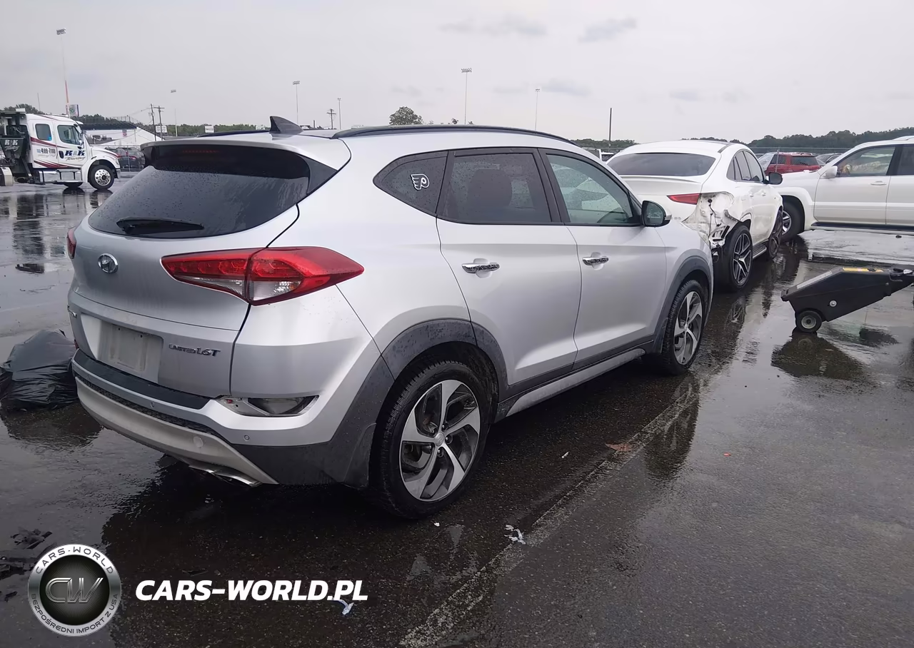 2017 Hyundai Tucson Limited VIN:KM8J33A24HU345898 - 4