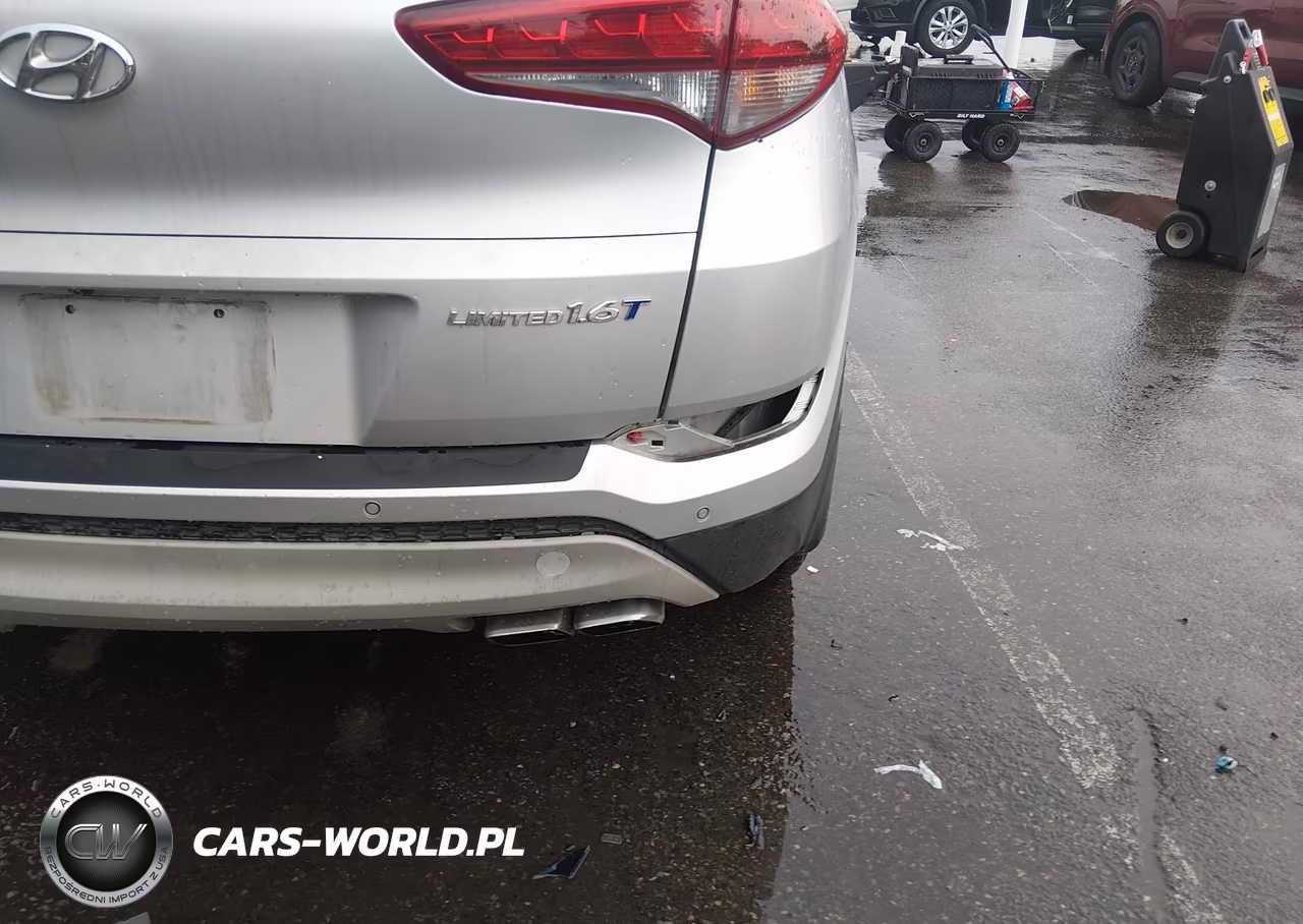 2017 Hyundai Tucson Limited VIN:KM8J33A24HU345898 - 6