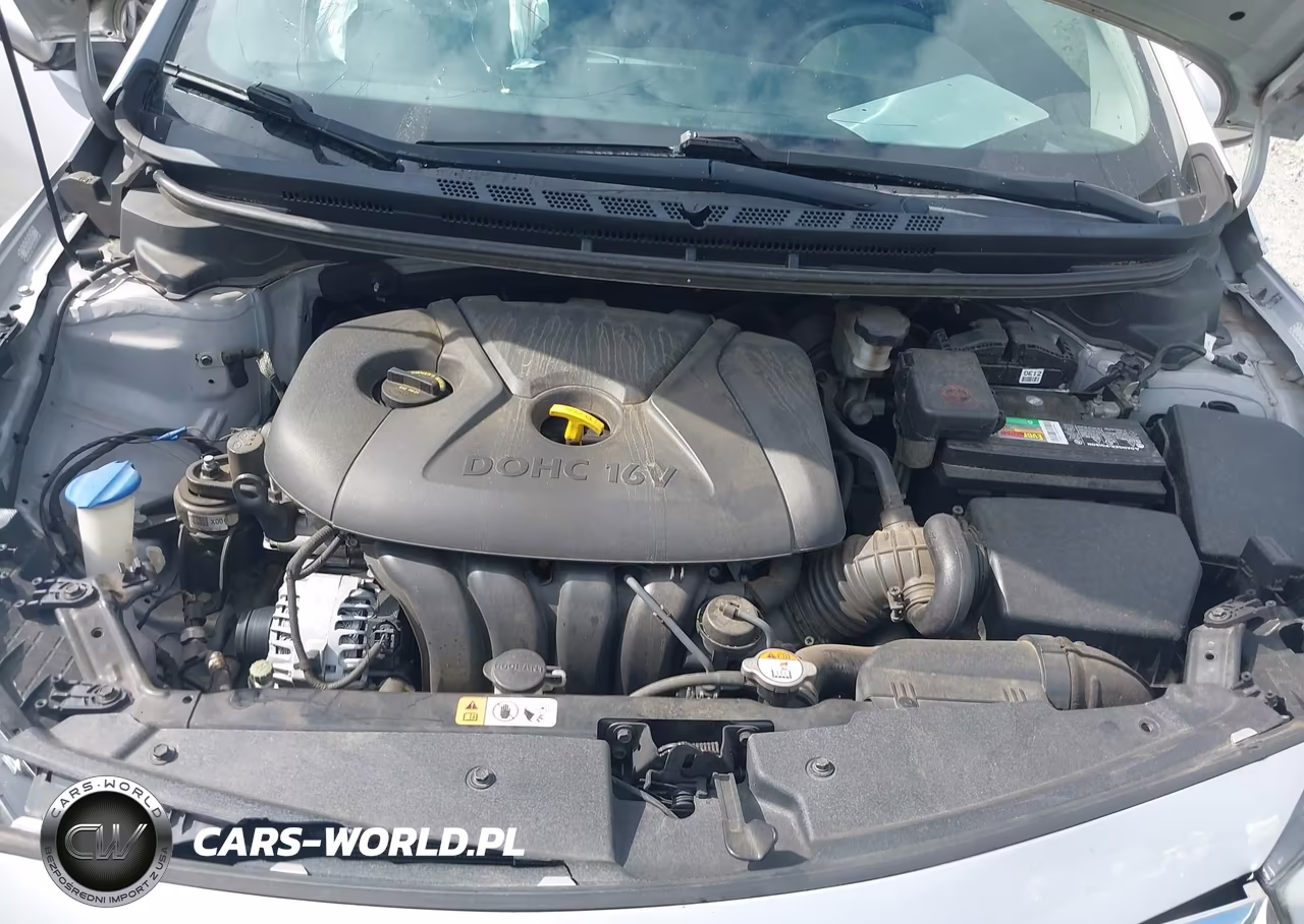 2016 Kia Forte Lx VIN:KNAFX4A67G5538799 - 10