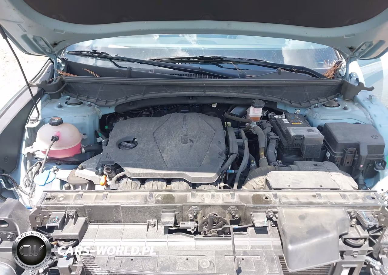 2024 Hyundai Santa Cruz Sel VIN:5NTJB4DE2RH102946 - 10