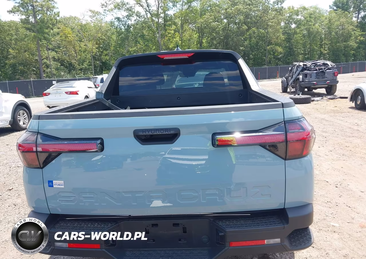 2024 Hyundai Santa Cruz Sel VIN:5NTJB4DE2RH102946 - 17