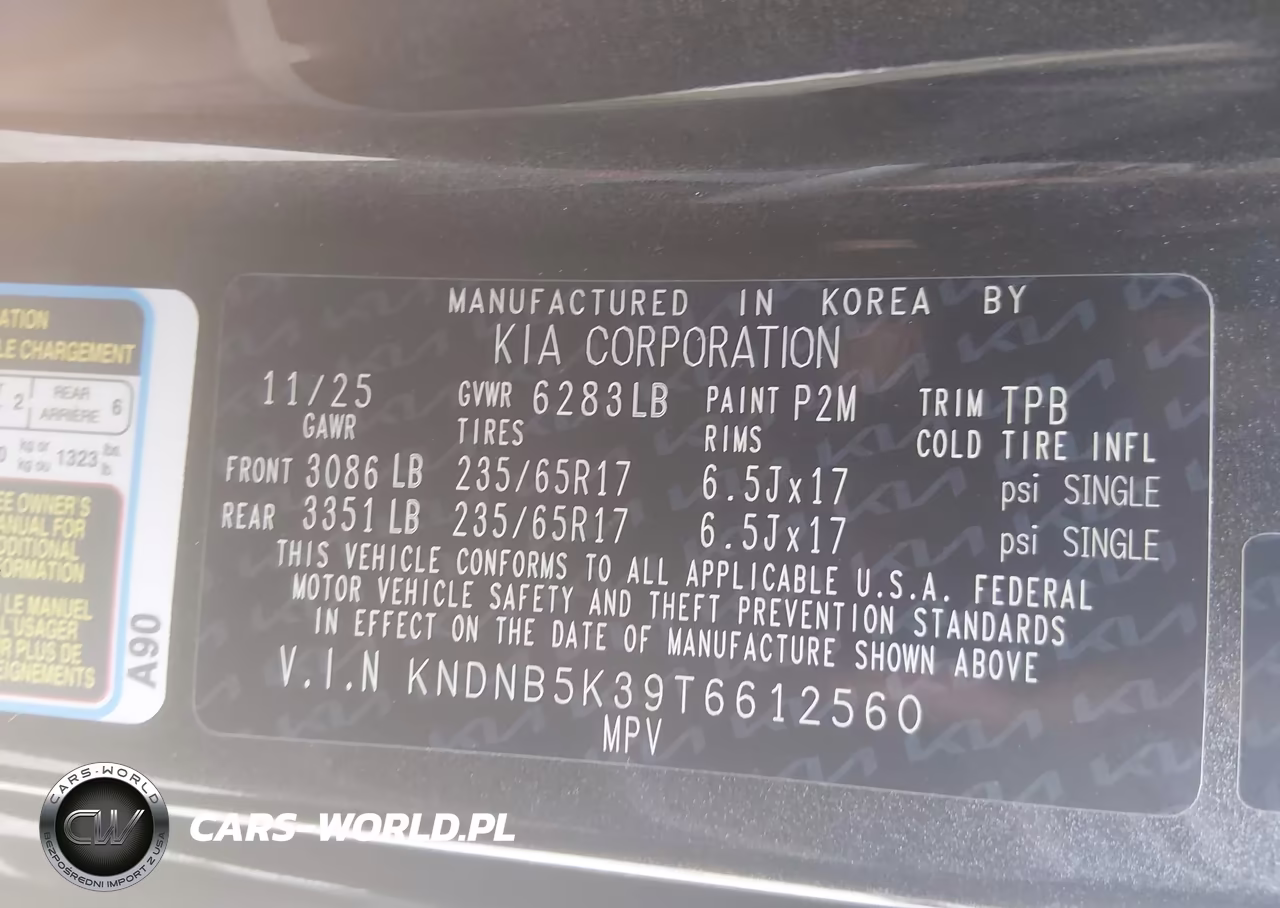 2026 Kia Carnival Mpv Lxs VIN:KNDNB5K39T6612560 - 9