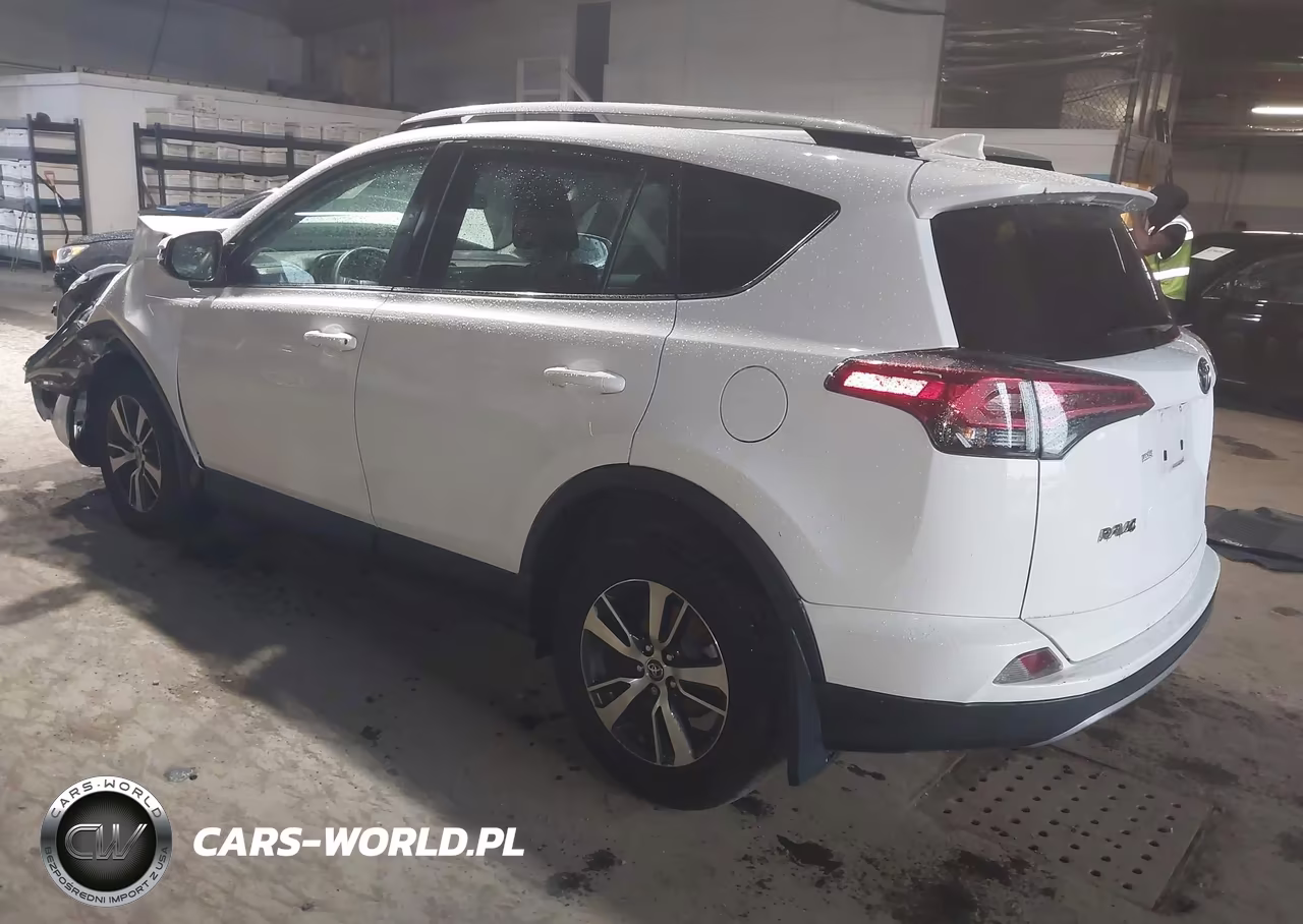 2017 Toyota Rav4 Xle VIN:2T3RFREVXHW683198 - 3