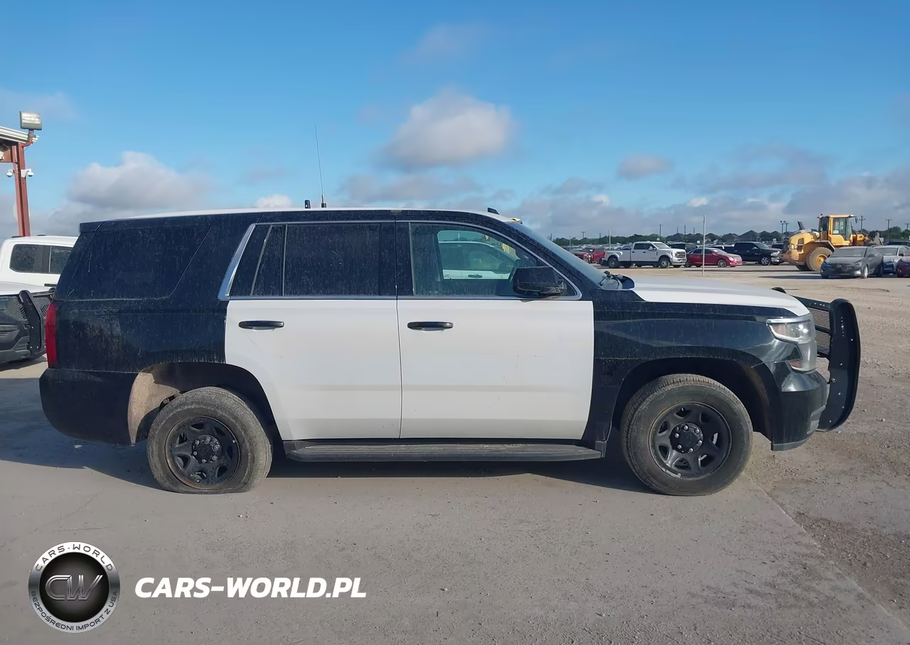 2020 Chevrolet Tahoe 2Wd Commercial Fleet VIN:1GNLCDEC2LR224523 - 13
