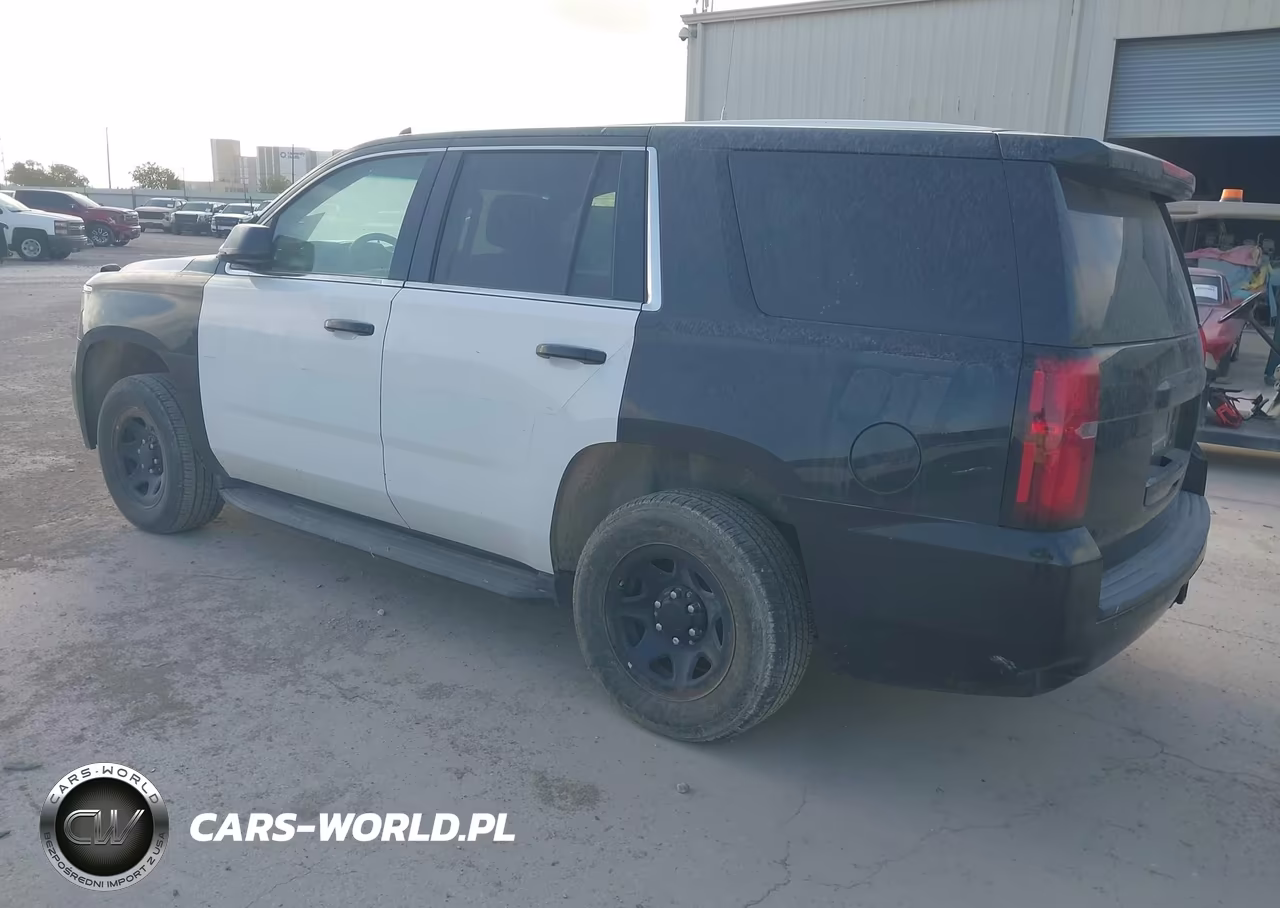 2020 Chevrolet Tahoe 2Wd Commercial Fleet VIN:1GNLCDEC2LR224523 - 3