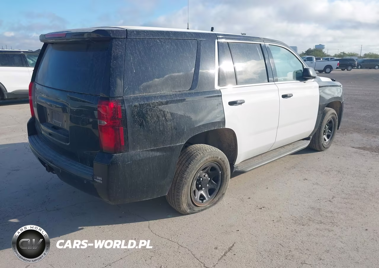 2020 Chevrolet Tahoe 2Wd Commercial Fleet VIN:1GNLCDEC2LR224523 - 4