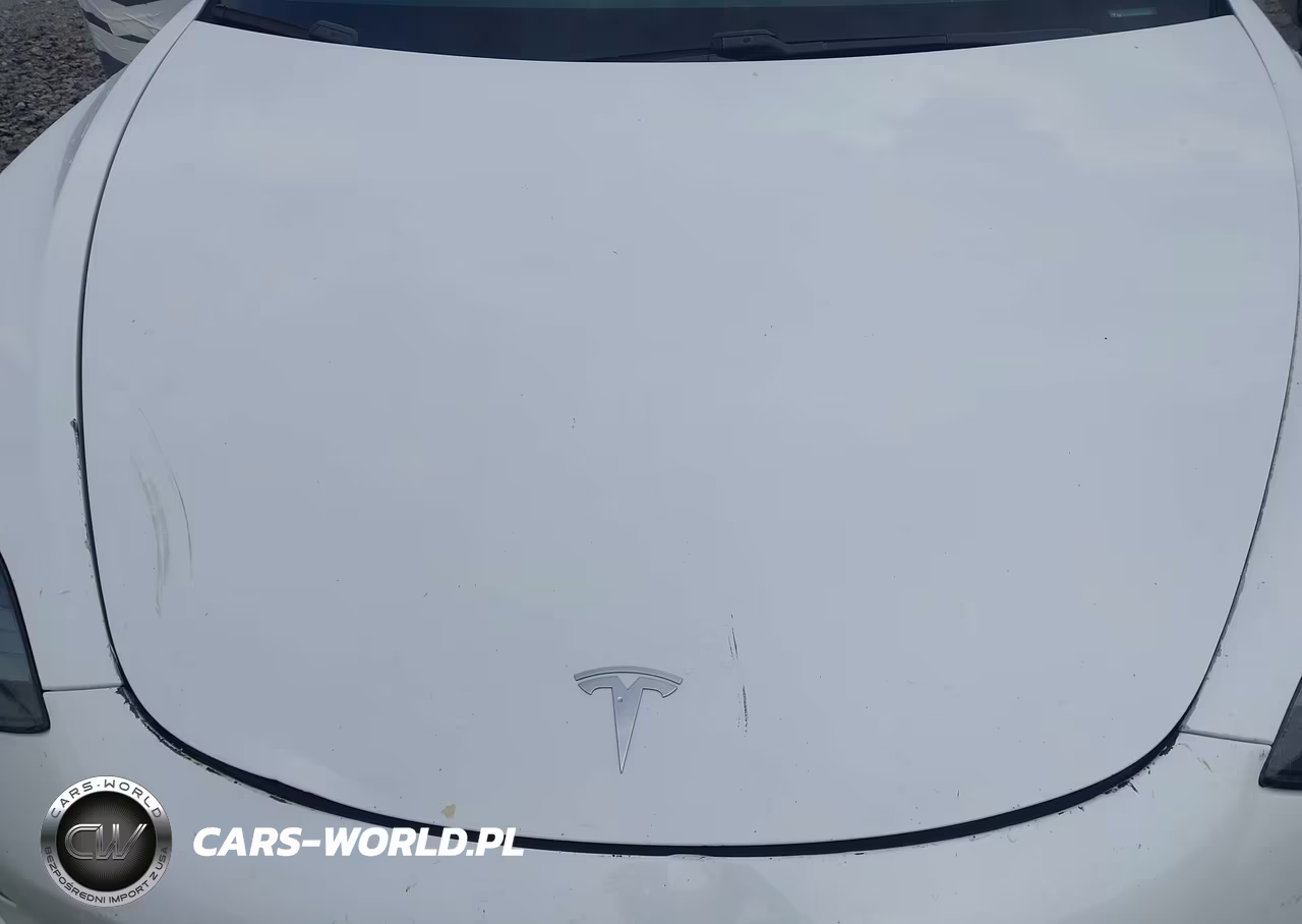 2021 Tesla Model 3 Standard Range Plus Rear-Wheel Drive VIN:5YJ3E1EA0MF919316 - 10