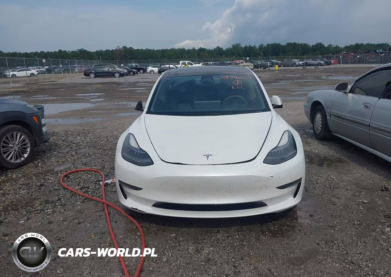 2021 Tesla Model 3 Standard Range Plus Rear-Wheel Drive VIN:5YJ3E1EA0MF919316 - 11