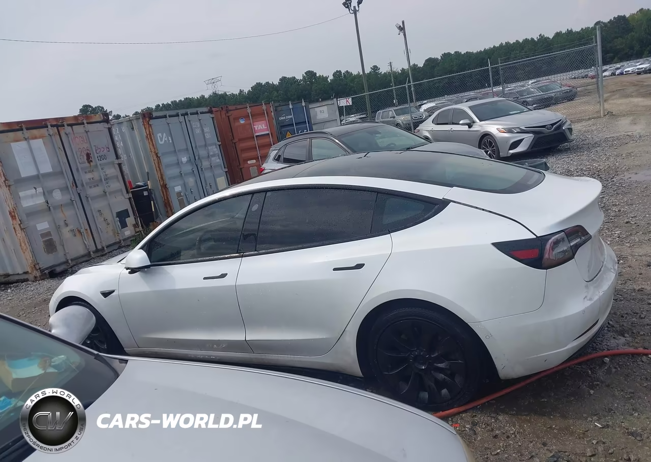 2021 Tesla Model 3 Standard Range Plus Rear-Wheel Drive VIN:5YJ3E1EA0MF919316 - 13