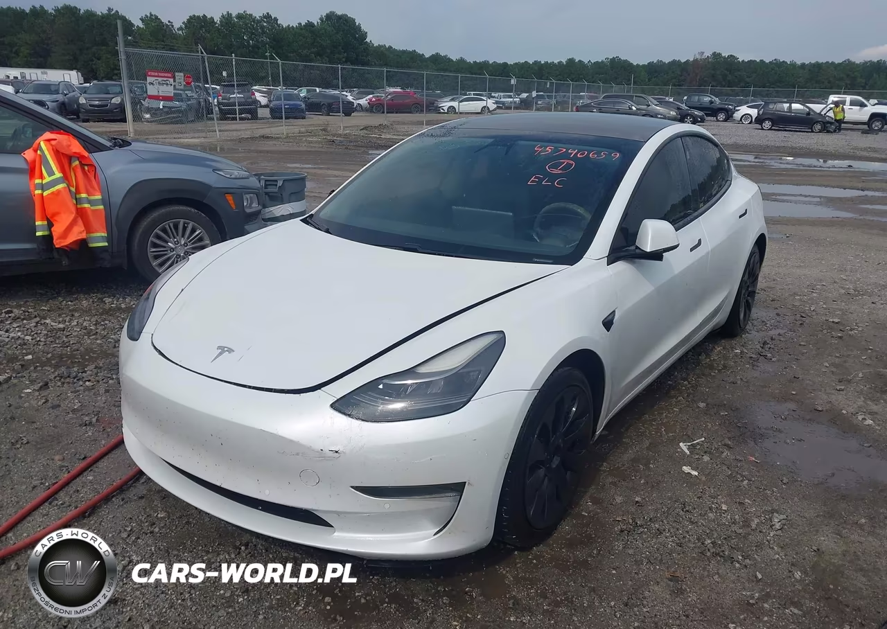 2021 Tesla Model 3 Standard Range Plus Rear-Wheel Drive VIN:5YJ3E1EA0MF919316 - 2