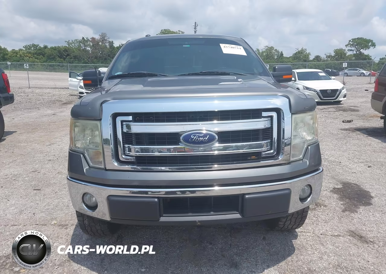 2014 Ford F-150 Xlt VIN:1FTFW1CT9EKE17603 - 12