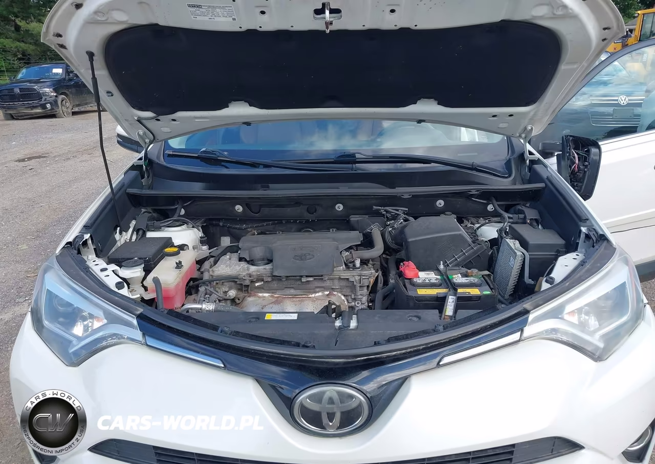 2017 Toyota Rav4 Limited VIN:2T3DFREV7HW553910 - 10