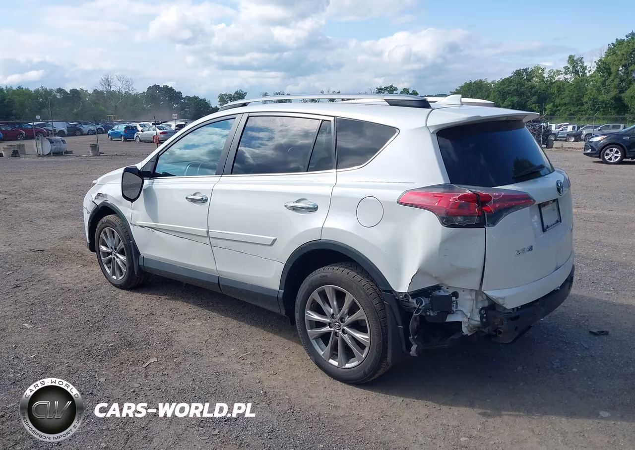 2017 Toyota Rav4 Limited VIN:2T3DFREV7HW553910 - 3