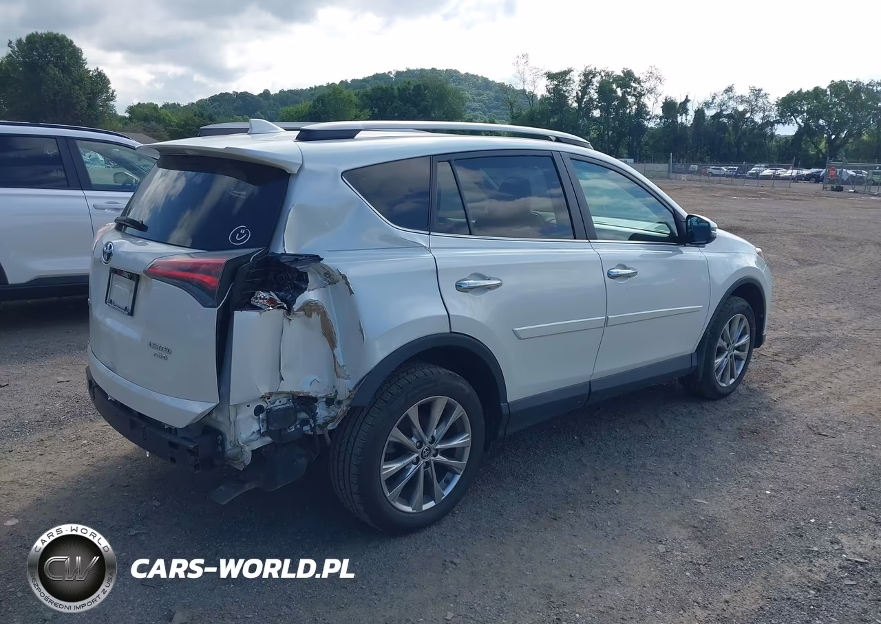 2017 Toyota Rav4 Limited VIN:2T3DFREV7HW553910 - 4