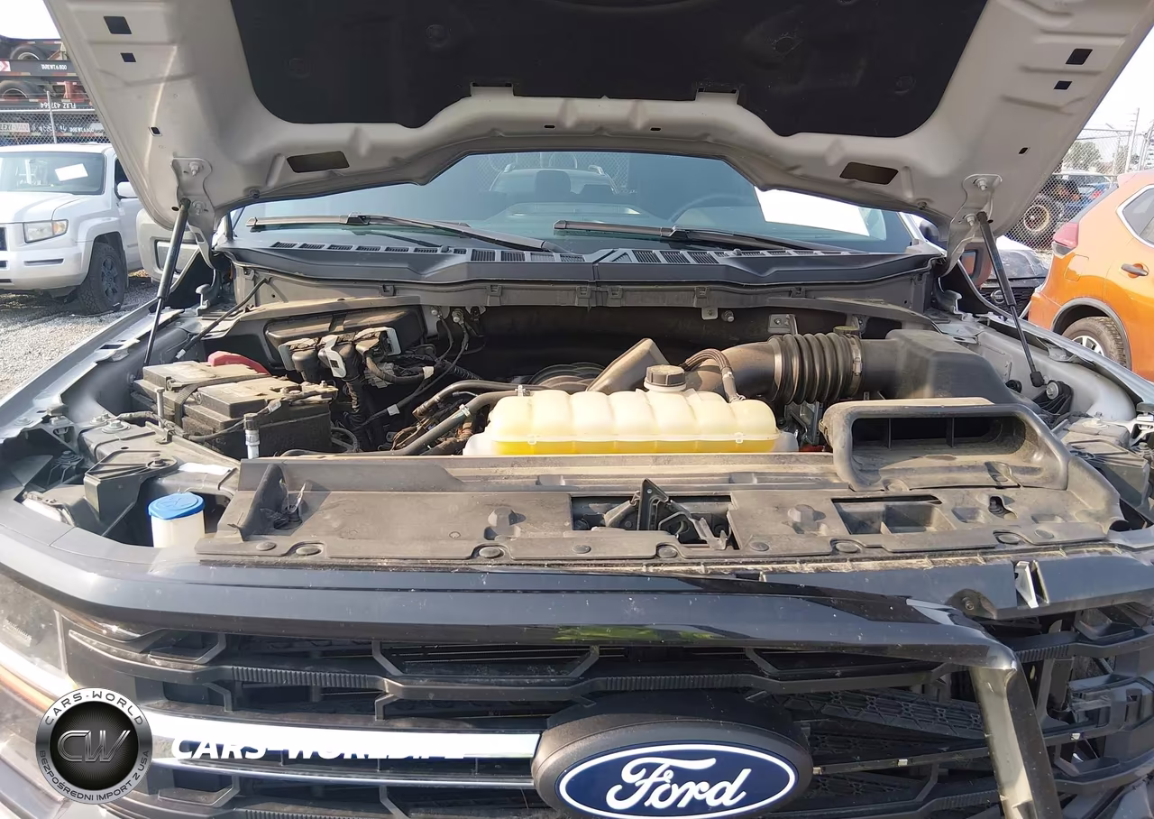 2024 Ford F-150 Xlt VIN:1FTEW3K5XRKE85084 - 10