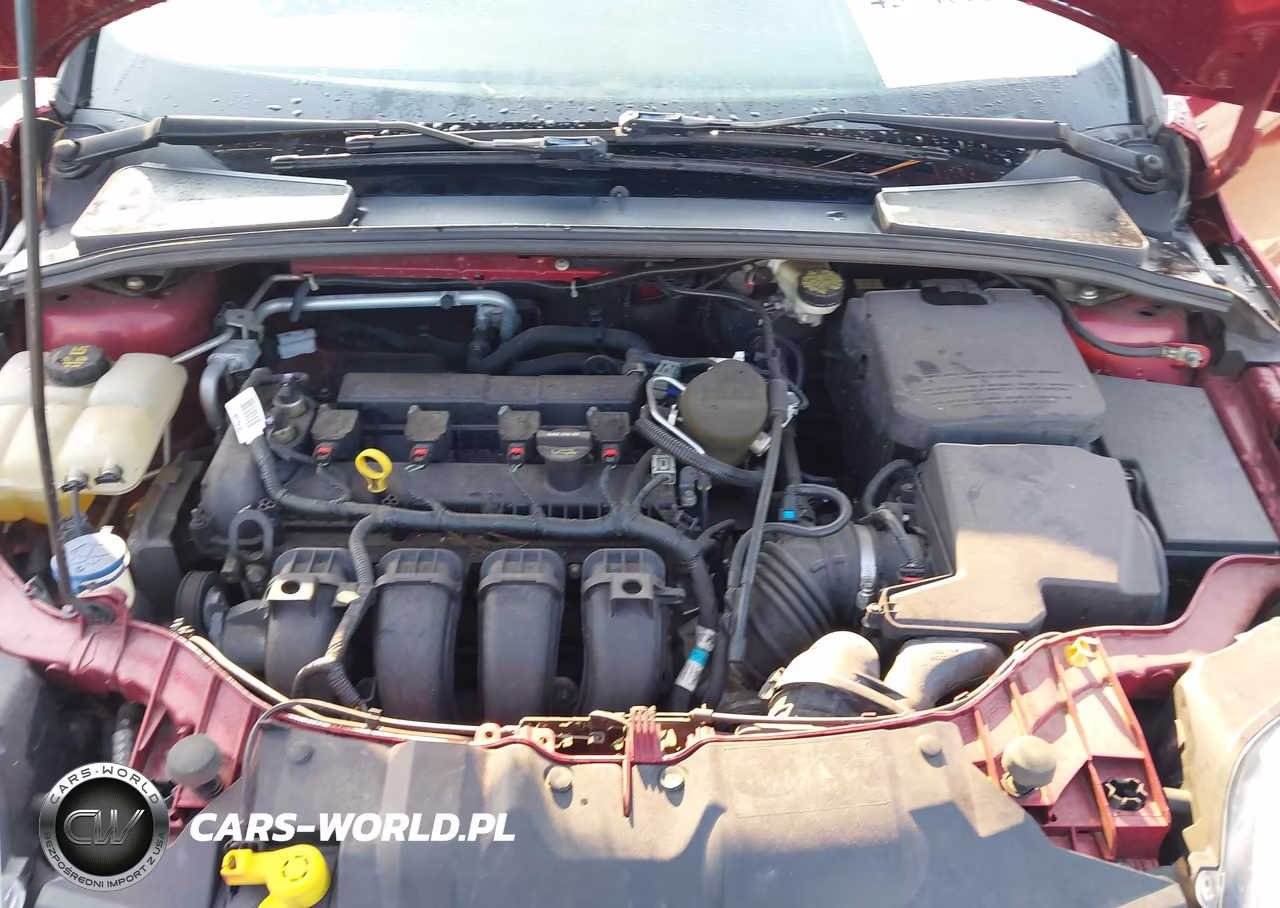 2014 Ford Focus Se VIN:1FADP3F29EL192019 - 10