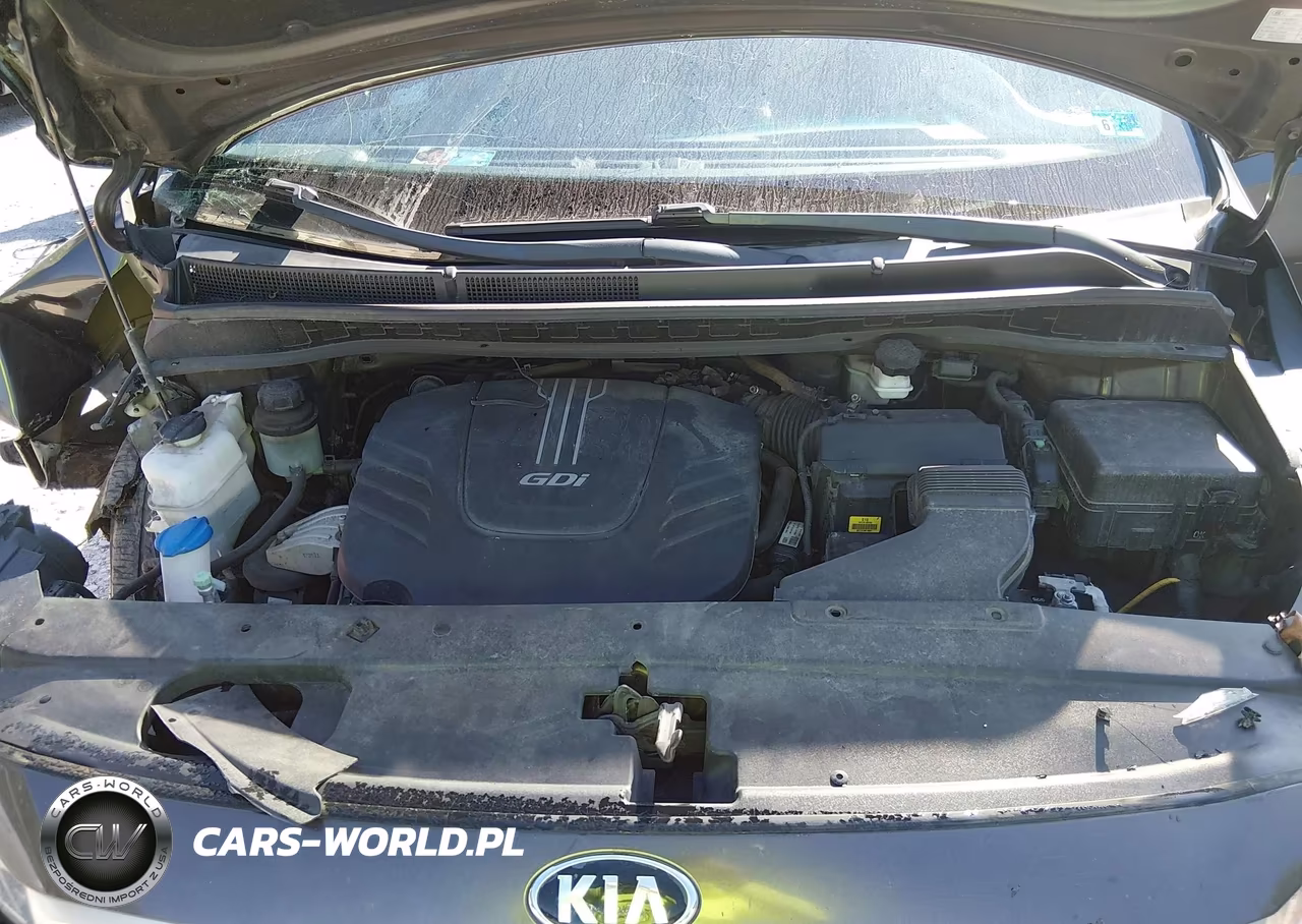 2017 Kia Sedona Lx VIN:KNDMB5C12H6314271 - 10