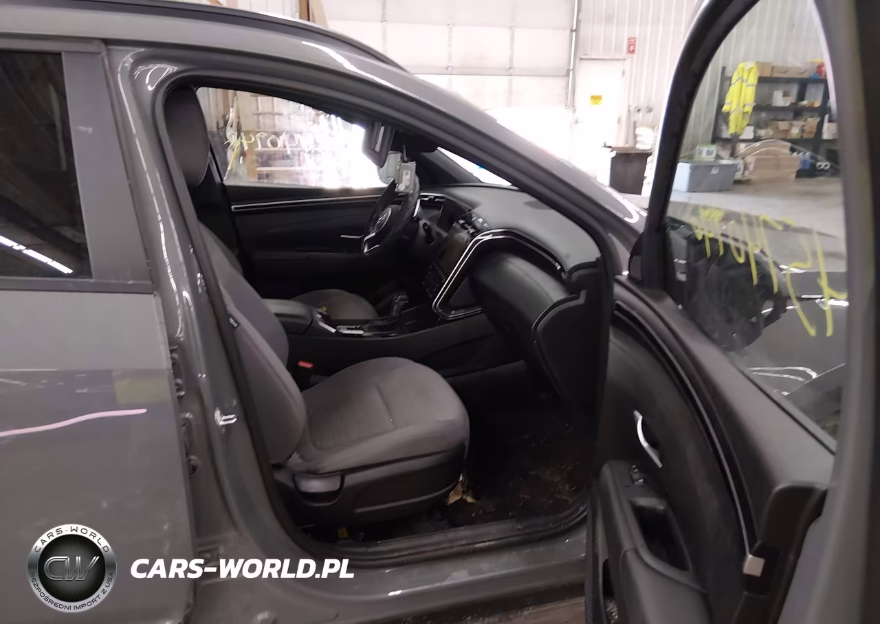2023 Hyundai Santa Cruz Sel Premium VIN:5NTJDDAF8PH049819 - 5
