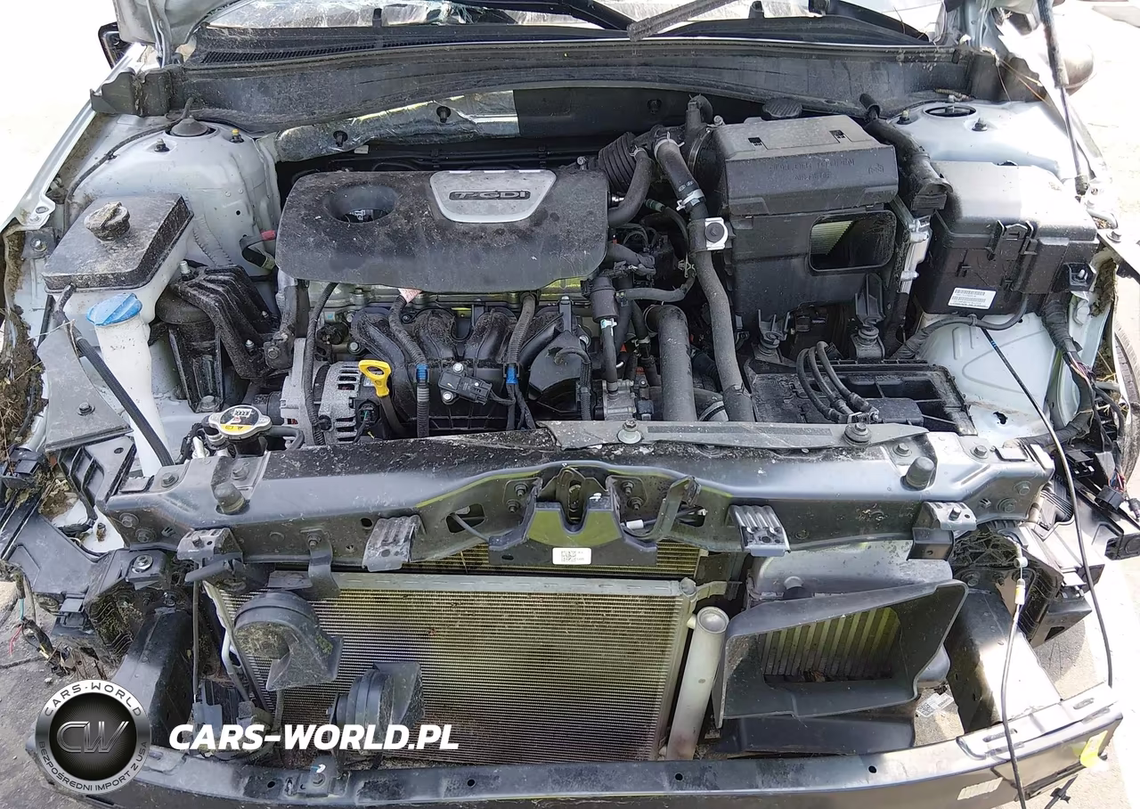 2019 Kia Optima Ex VIN:5XXGU4L14KG356080 - 10