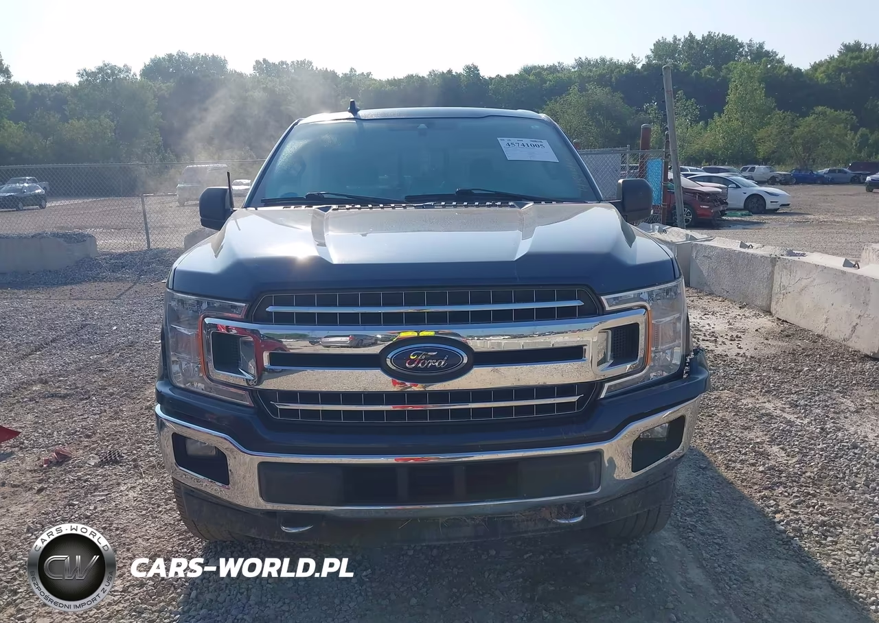 2019 Ford F-150 Xlt VIN:1FTEW1EP2KFA44047 - 12