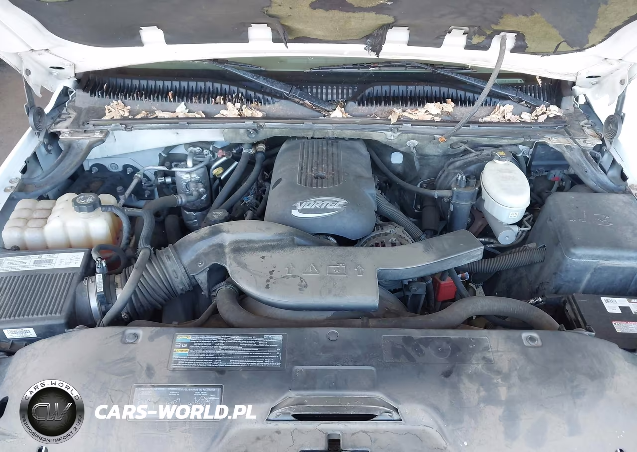 2003 Chevrolet Tahoe Lt VIN:1GNEK13T63J339363 - 10