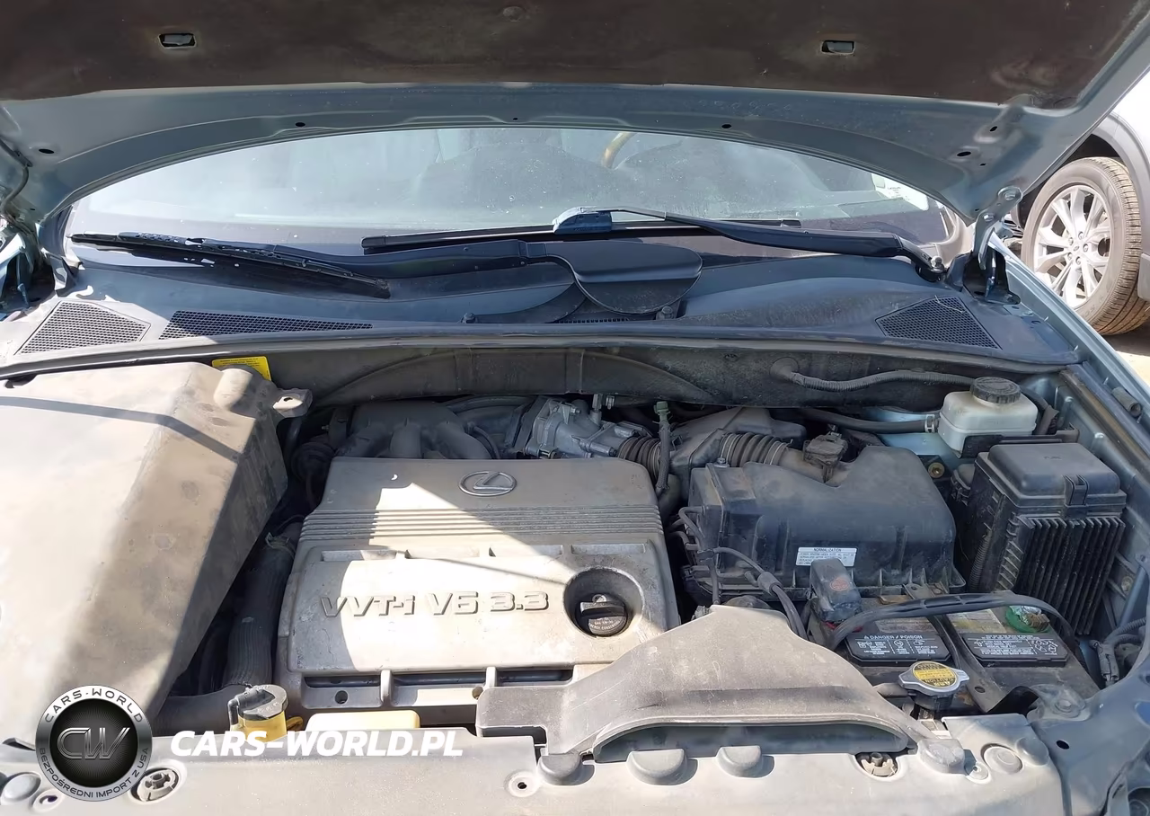 2006 Lexus Rx 330 VIN:2T2GA31U06C046470 - 10