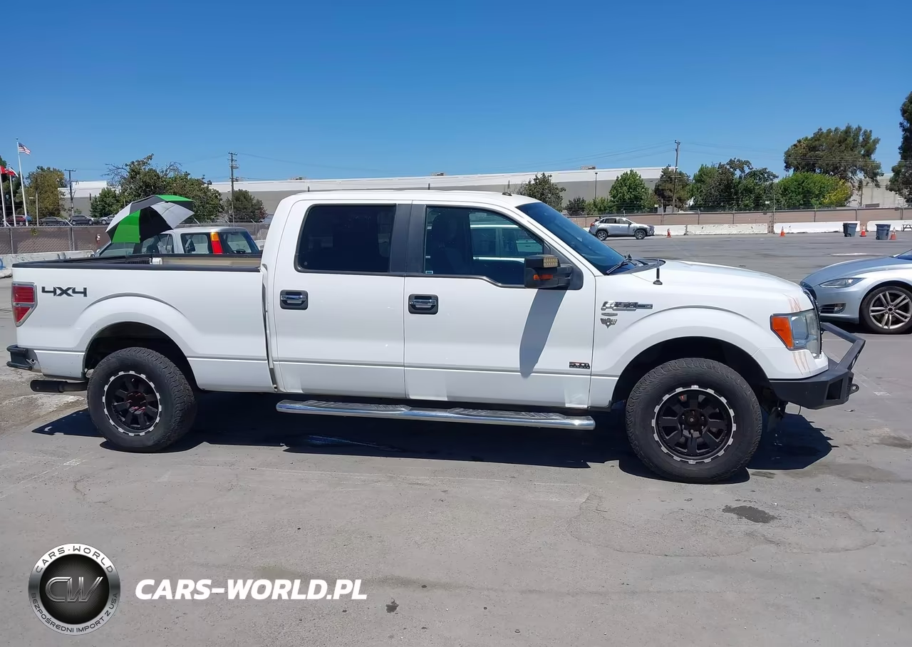 2013 Ford F-150 Xlt VIN:1FTFW1EF4DKG11459 - 13