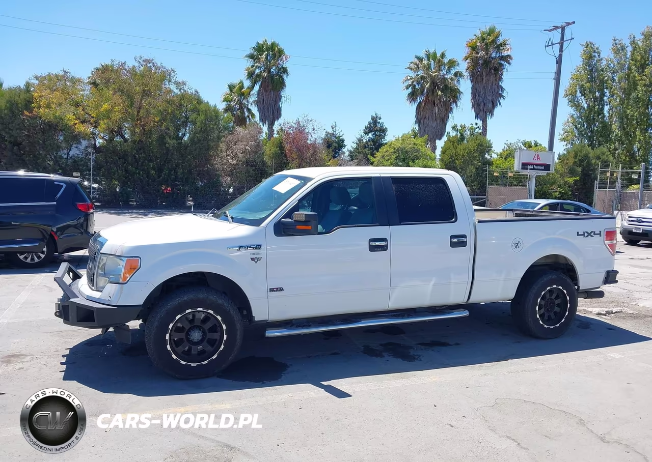 2013 Ford F-150 Xlt VIN:1FTFW1EF4DKG11459 - 14