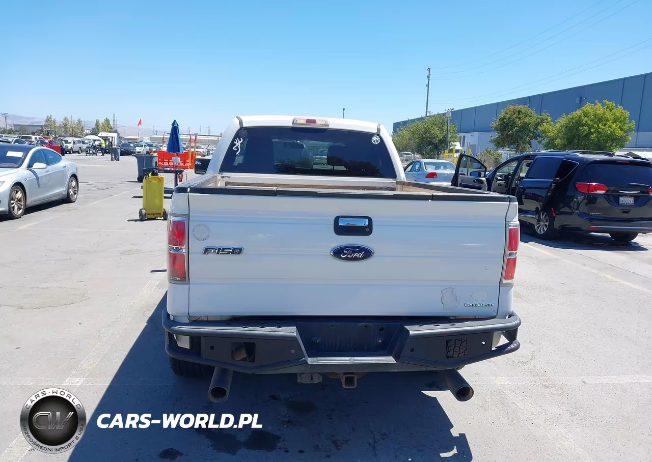 2013 Ford F-150 Xlt VIN:1FTFW1EF4DKG11459 - 16