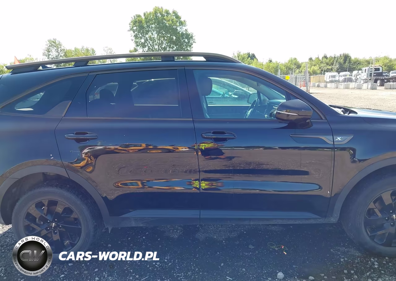 2023 Kia Sorento X-Line S VIN:5XYRLDLC3PG237923 - 14