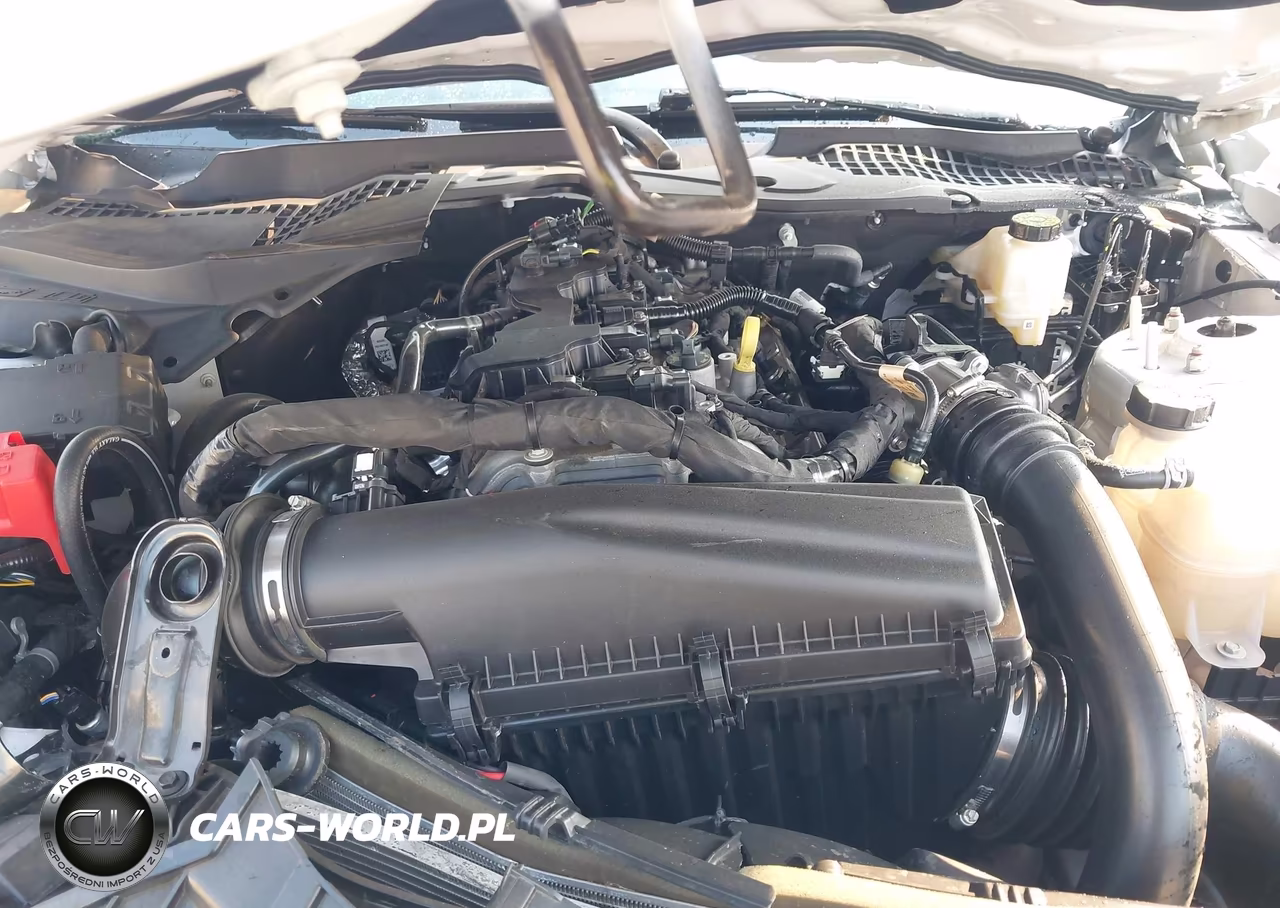 2024 Ford Mustang Ecoboost Premium Fastback VIN:1FA6P8TH7R5111849 - 10