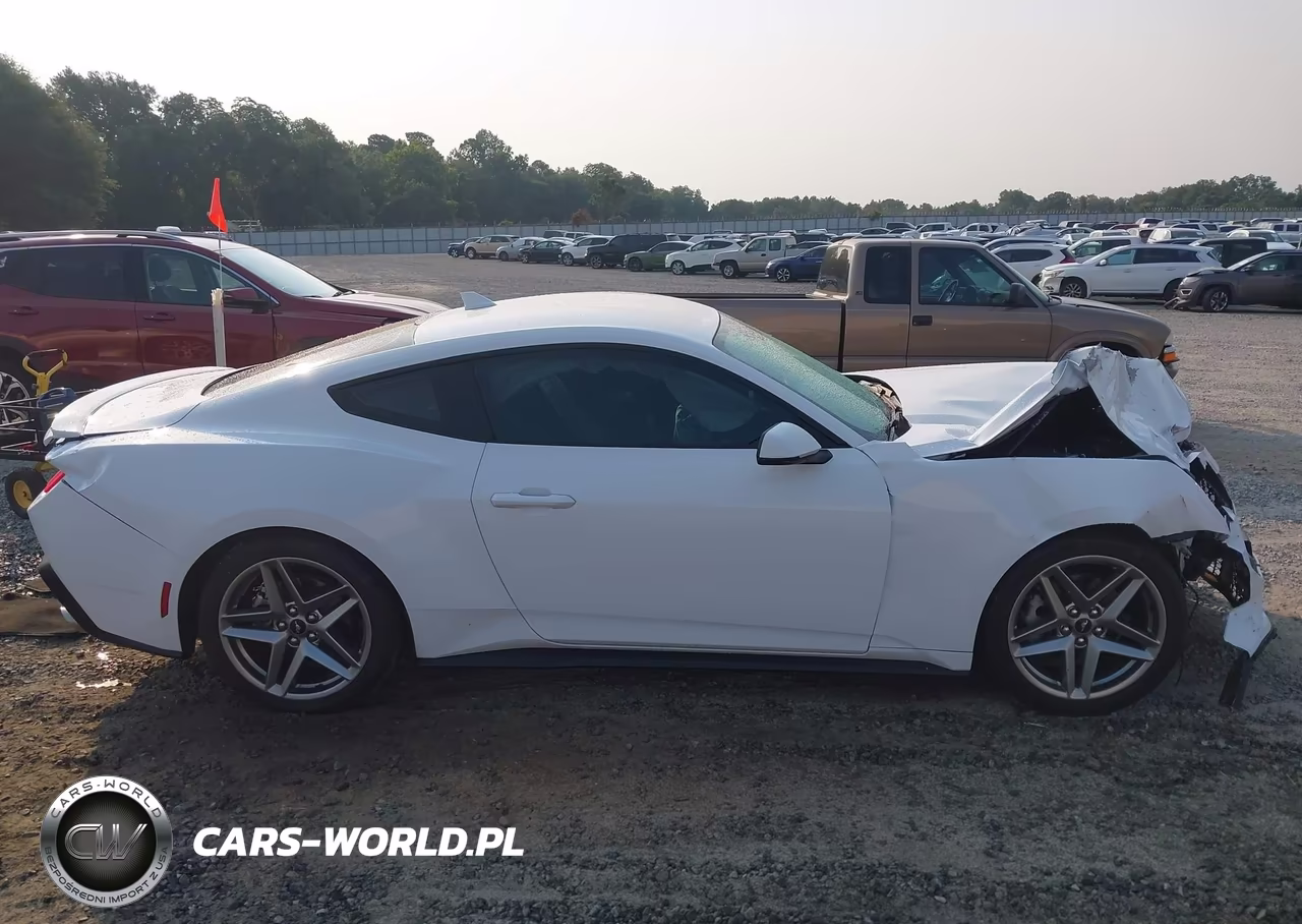 2024 Ford Mustang Ecoboost Premium Fastback VIN:1FA6P8TH7R5111849 - 13