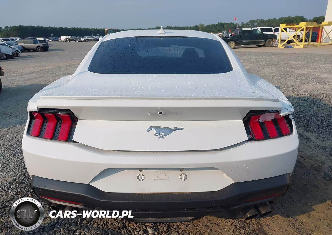2024 Ford Mustang Ecoboost Premium Fastback VIN:1FA6P8TH7R5111849 - 16
