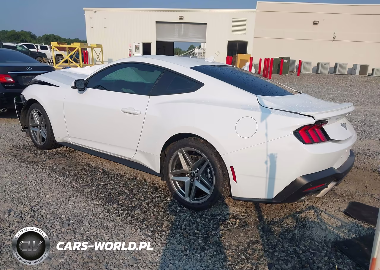 2024 Ford Mustang Ecoboost Premium Fastback VIN:1FA6P8TH7R5111849 - 3