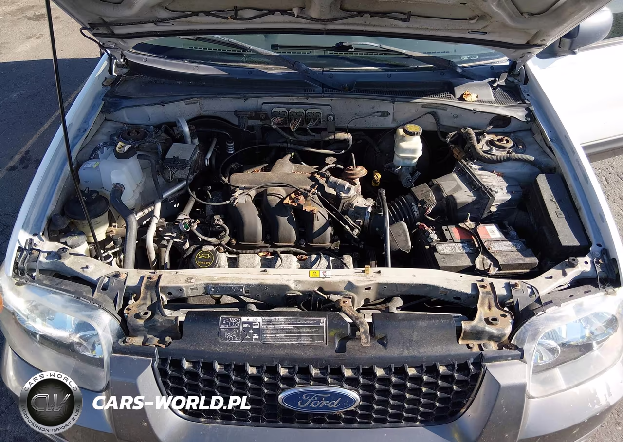 2006 Ford Escape Xlt-Xlt Sport VIN:1FMCU93156KB57946 - 10