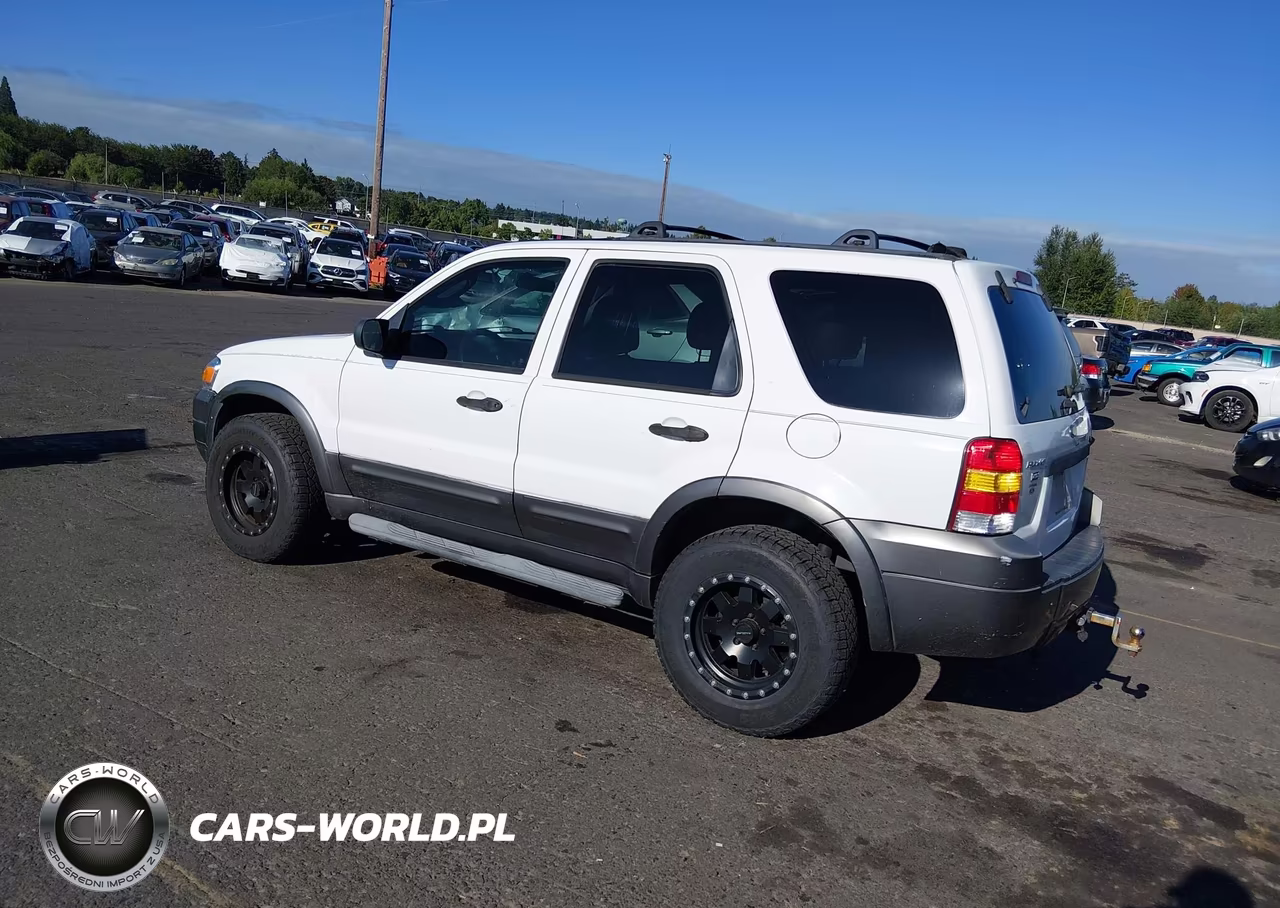 2006 Ford Escape Xlt-Xlt Sport VIN:1FMCU93156KB57946 - 3