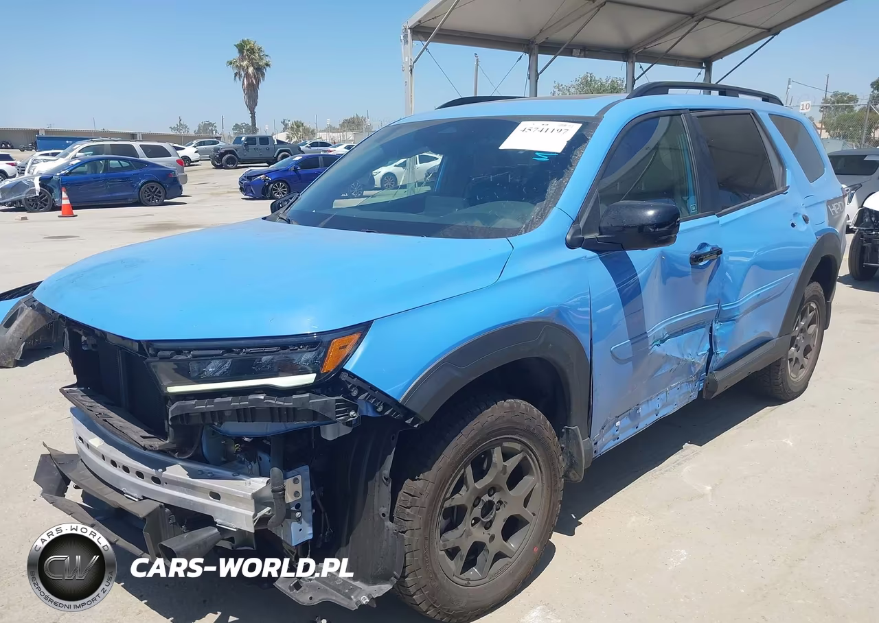 2024 Honda Pilot Trailsport VIN:5FNYG1H60RB027520 - 2