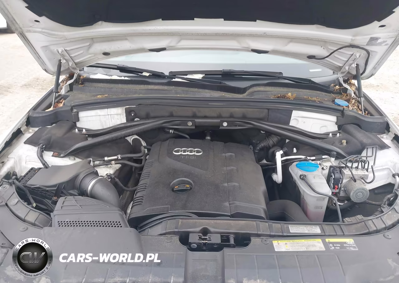 2013 Audi Q5 2.0T Premium VIN:WA1CFAFP7DA095818 - 10