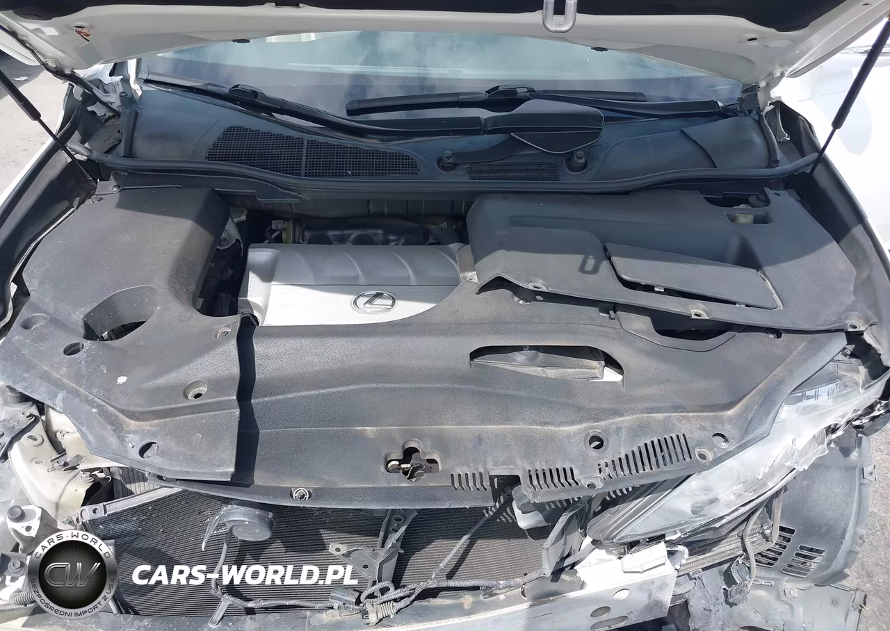 2011 Lexus Rx 350 VIN:2T2BK1BA3BC095527 - 10