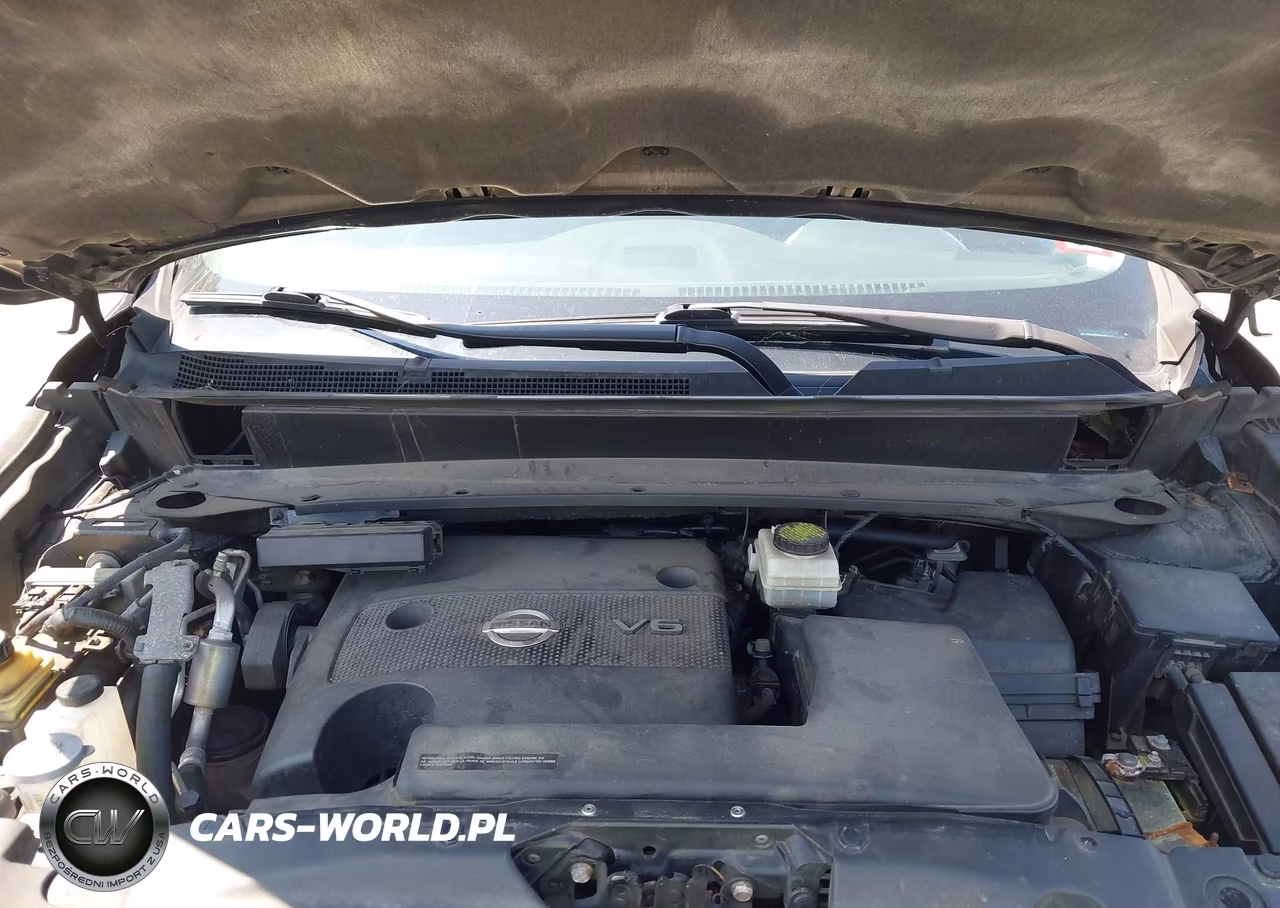 2016 Nissan Pathfinder Platinum-S-Sl-Sv VIN:5N1AR2MM4GC647217 - 10