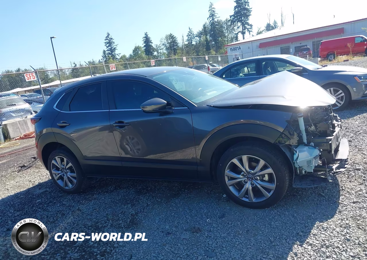 2020 Mazda Cx-30 Preferred Package VIN:3MVDMBDL0LM133816 - 14