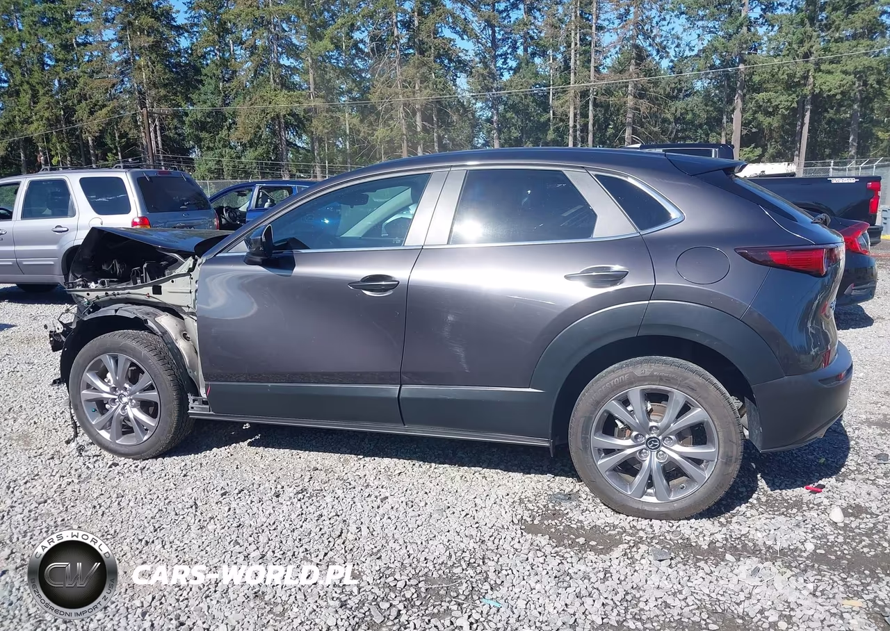 2020 Mazda Cx-30 Preferred Package VIN:3MVDMBDL0LM133816 - 15