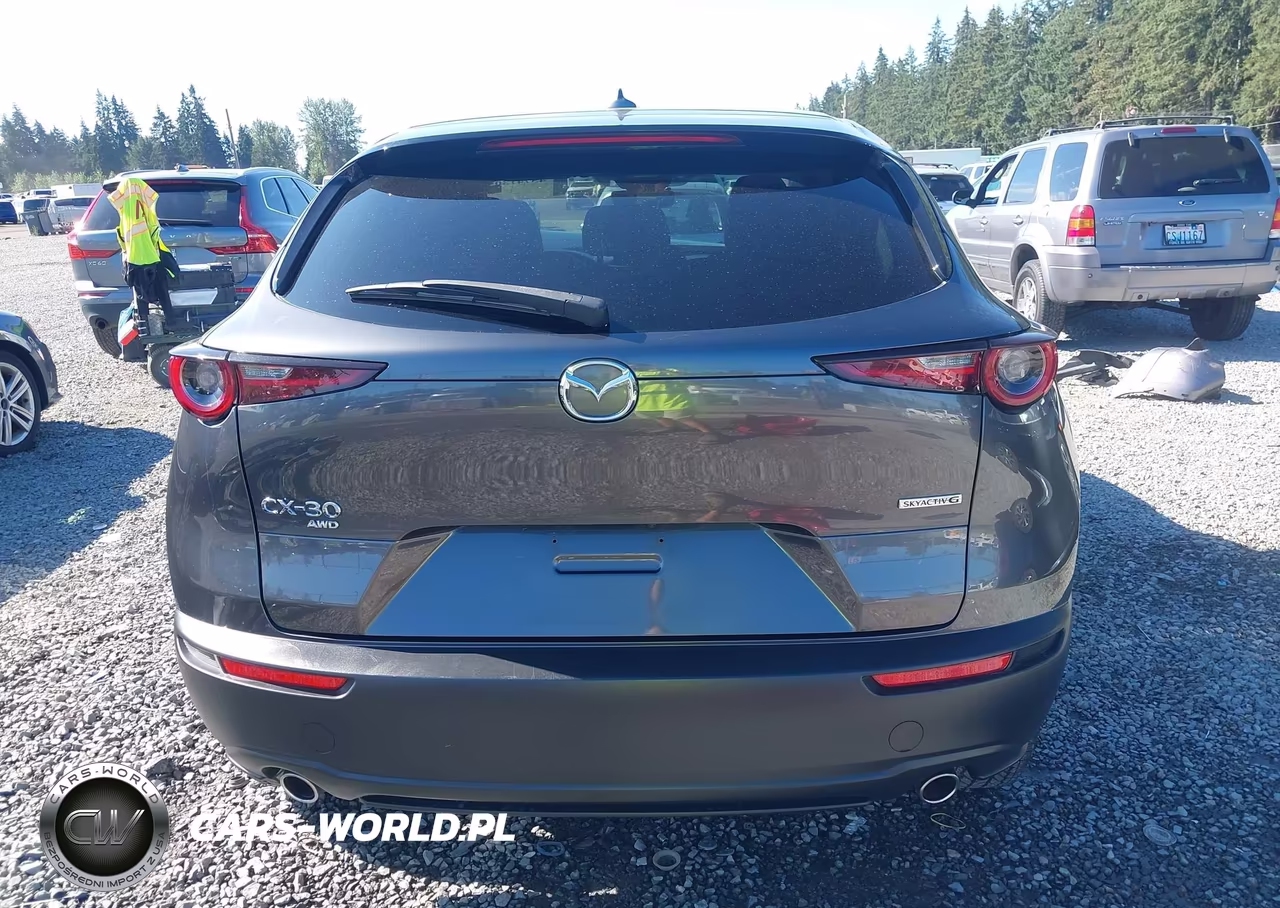 2020 Mazda Cx-30 Preferred Package VIN:3MVDMBDL0LM133816 - 17