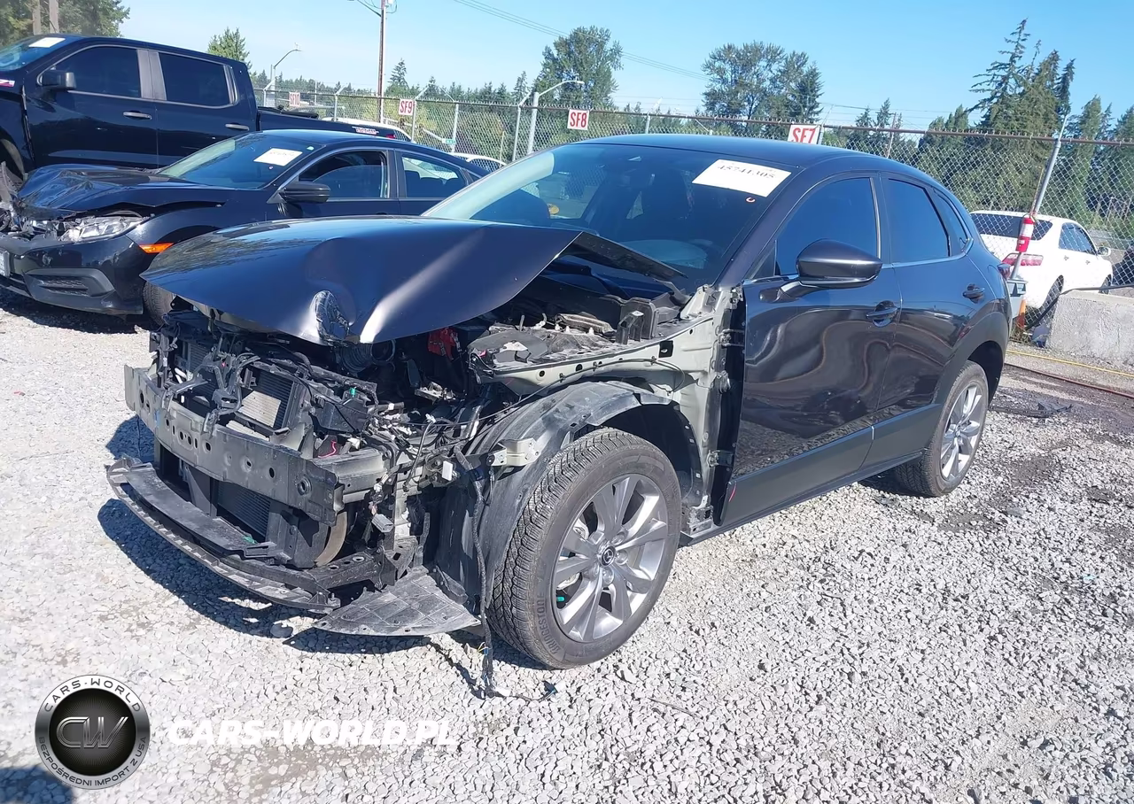 2020 Mazda Cx-30 Preferred Package VIN:3MVDMBDL0LM133816 - 2