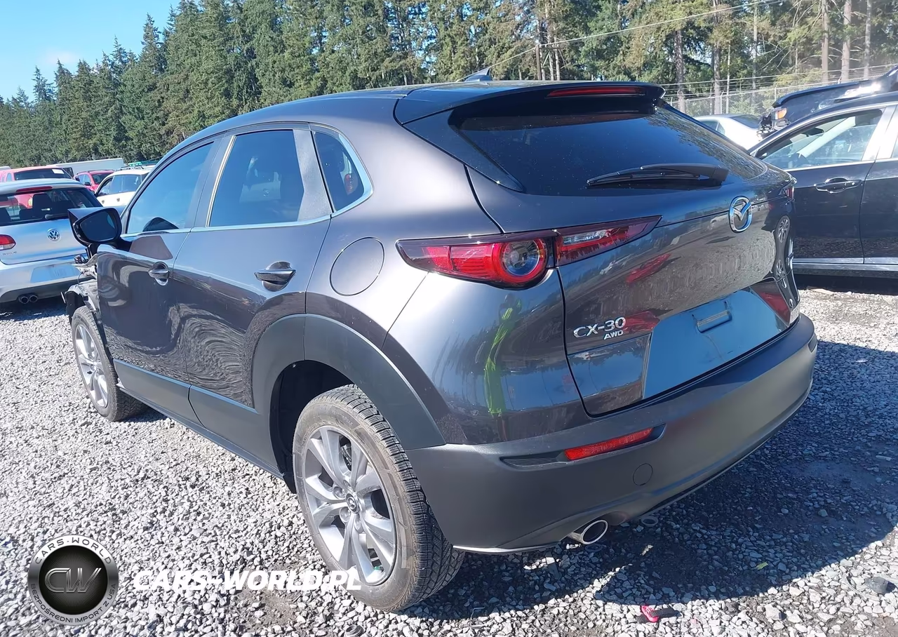 2020 Mazda Cx-30 Preferred Package VIN:3MVDMBDL0LM133816 - 3