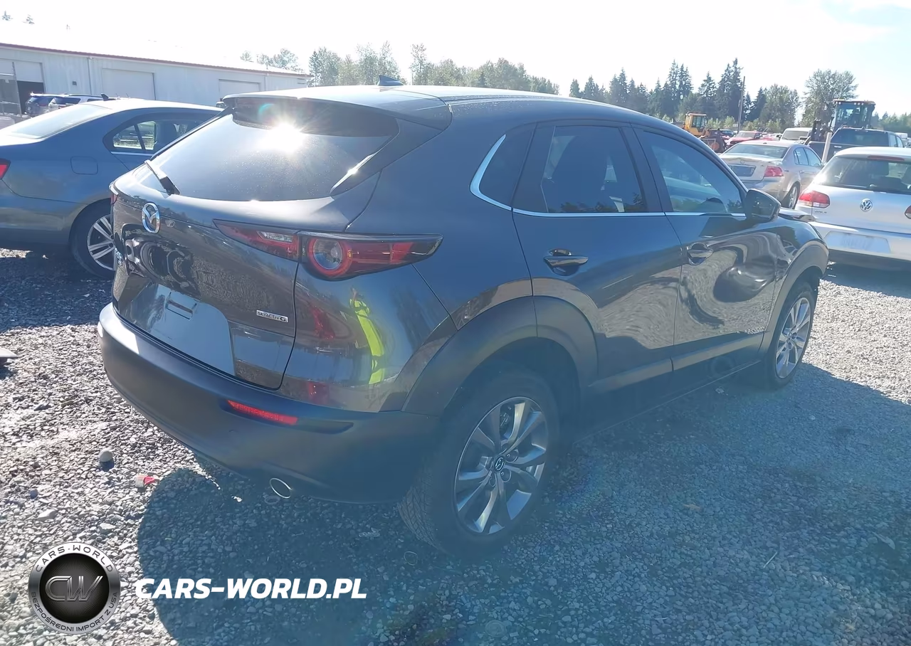 2020 Mazda Cx-30 Preferred Package VIN:3MVDMBDL0LM133816 - 4