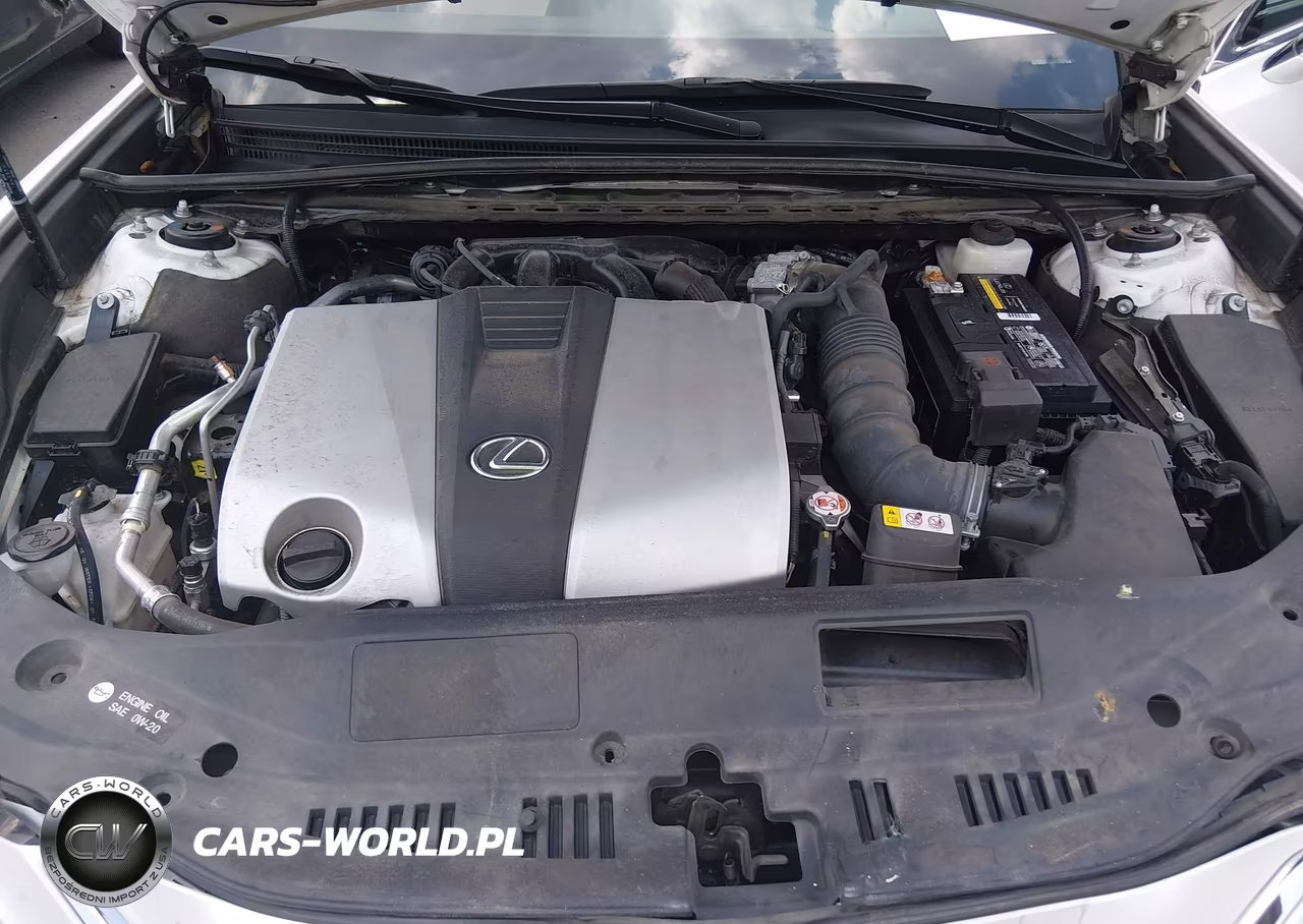 2022 Lexus Es 350 VIN:58ADZ1B14NU125526 - 10