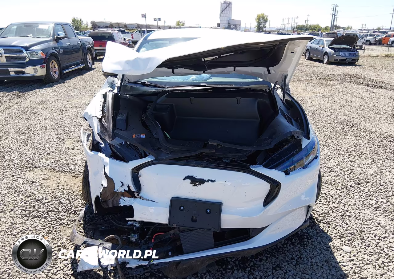 2025 Ford Mustang Mach-E Premium VIN:3FMTK3SU1SMA11223 - 12