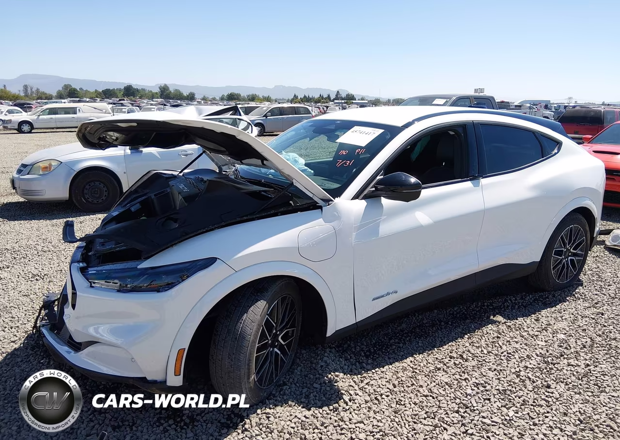2025 Ford Mustang Mach-E Premium VIN:3FMTK3SU1SMA11223 - 2