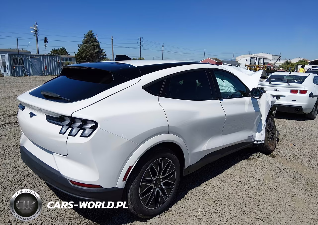 2025 Ford Mustang Mach-E Premium VIN:3FMTK3SU1SMA11223 - 4